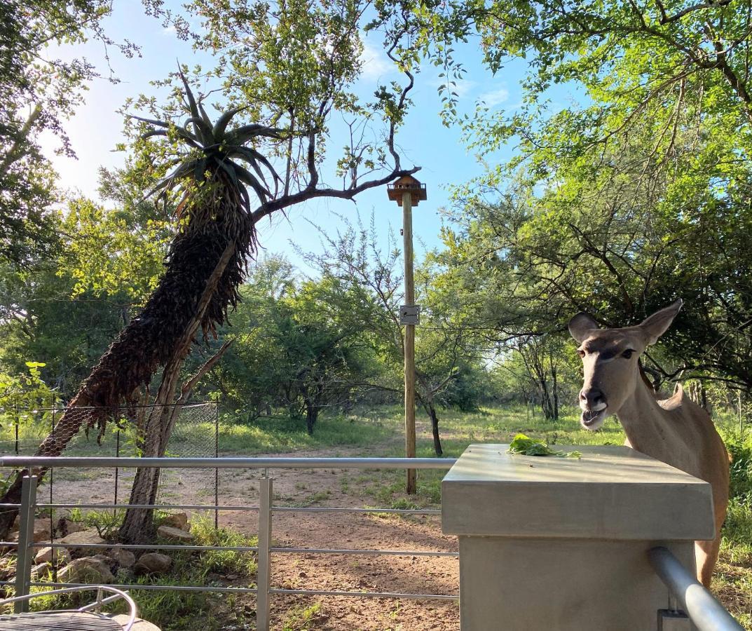 Kruger'S Keep - Luxury Couples Haven Villa Marloth Park Eksteriør bilde